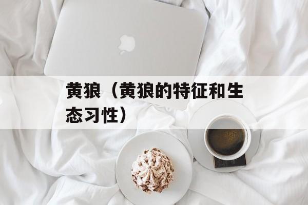 黄狼（黄狼的特征和生态习性）-第1张图片-