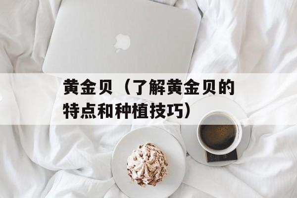 黄金贝（了解黄金贝的特点和种植技巧）-第1张图片-