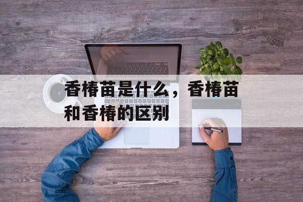 香椿苗是什么，香椿苗和香椿的区别-第1张图片-