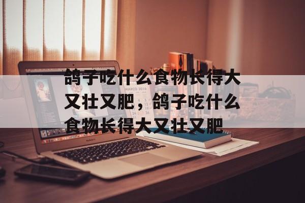 鸽子吃什么食物长得大又壮又肥，鸽子吃什么食物长得大又壮又肥-第1张图片-