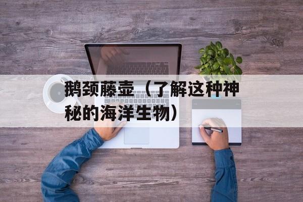 鹅颈藤壶（了解这种神秘的海洋生物）-第1张图片-
