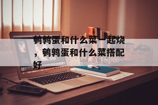 鹌鹑蛋和什么菜一起烧，鹌鹑蛋和什么菜搭配好-第1张图片-