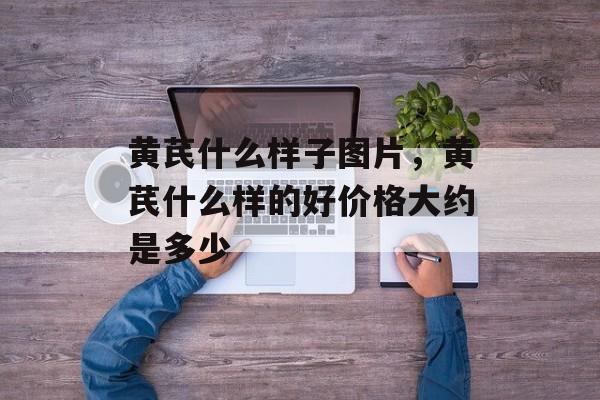 黄芪什么样子图片，黄芪什么样的好价格大约是多少-第1张图片-