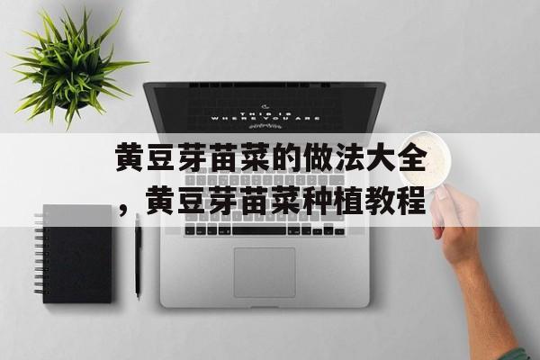 黄豆芽苗菜的做法大全，黄豆芽苗菜种植教程-第1张图片-