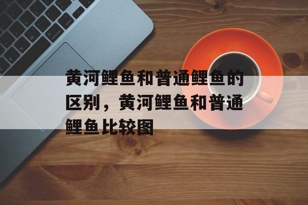 黄河鲤鱼和普通鲤鱼的区别，黄河鲤鱼和普通鲤鱼比较图-第1张图片-