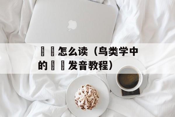 鹡鸰怎么读（鸟类学中的鹡鸰发音教程）-第1张图片-