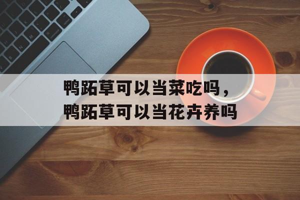鸭跖草可以当菜吃吗，鸭跖草可以当花卉养吗-第1张图片-