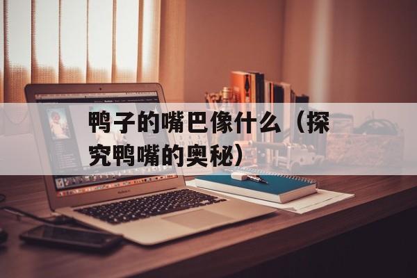 鸭子的嘴巴像什么（探究鸭嘴的奥秘）-第1张图片-