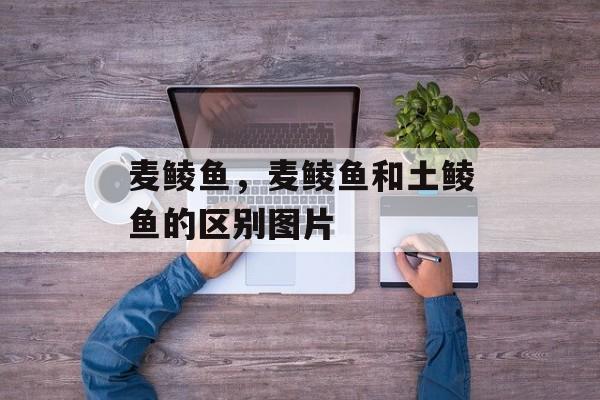 麦鲮鱼，麦鲮鱼和土鲮鱼的区别图片-第1张图片-