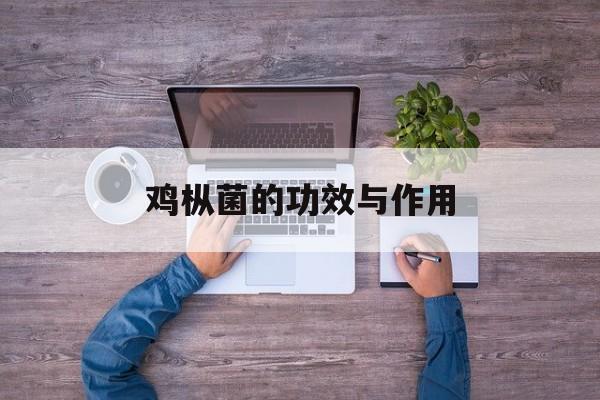 鸡枞菌的功效与作用-第1张图片-
