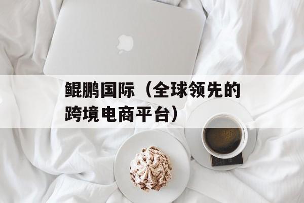 鲲鹏国际（全球领先的跨境电商平台）-第1张图片-