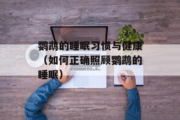 鹦鹉的睡眠习惯与健康（如何正确照顾鹦鹉的睡眠）-第1张图片-