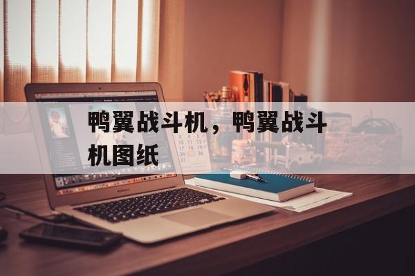 鸭翼战斗机，鸭翼战斗机图纸-第1张图片-