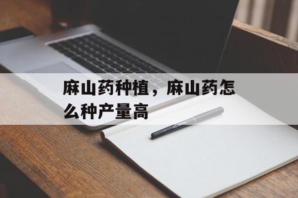 麻山药种植，麻山药怎么种产量高-第1张图片-