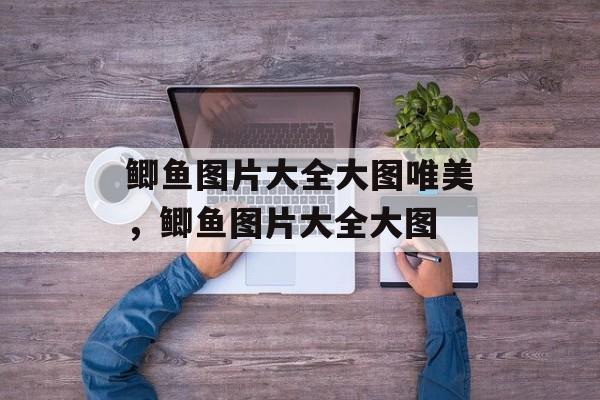 鲫鱼图片大全大图唯美，鲫鱼图片大全大图-第1张图片-