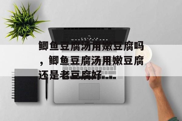鲫鱼豆腐汤用嫩豆腐吗，鲫鱼豆腐汤用嫩豆腐还是老豆腐好-第1张图片-