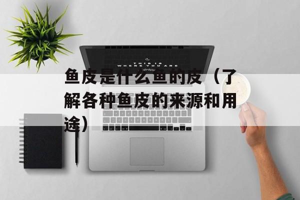 鱼皮是什么鱼的皮（了解各种鱼皮的来源和用途）-第1张图片-