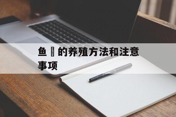 鱼鱻的养殖方法和注意事项-第1张图片-