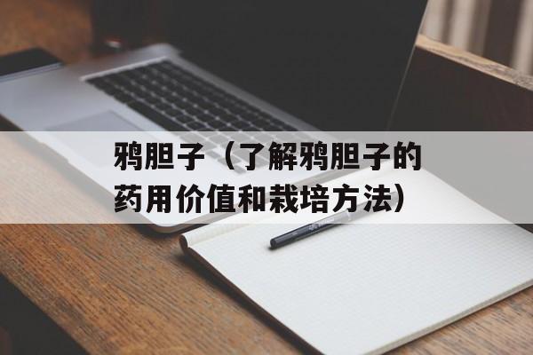 鸦胆子（了解鸦胆子的药用价值和栽培方法）-第1张图片-