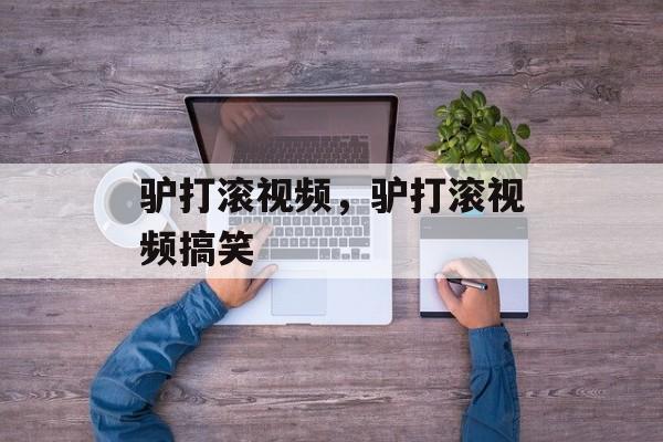 驴打滚视频，驴打滚视频搞笑-第1张图片-