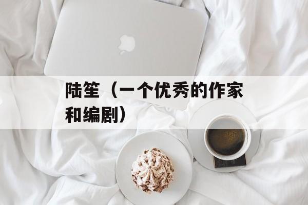 陆笙（一个优秀的作家和编剧）-第1张图片-