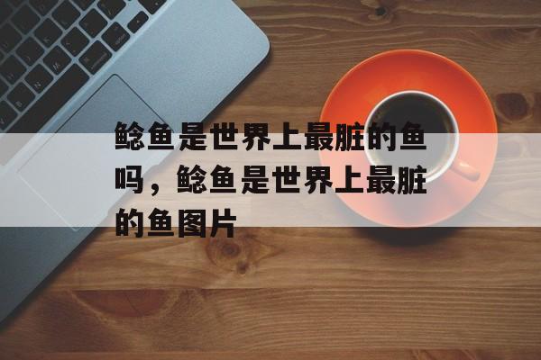 鲶鱼是世界上最脏的鱼吗，鲶鱼是世界上最脏的鱼图片-第1张图片-