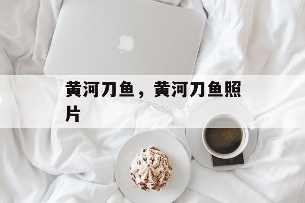 黄河刀鱼，黄河刀鱼照片-第1张图片-