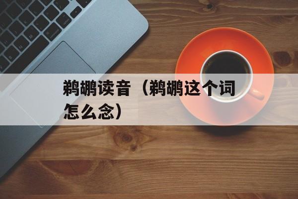鹈鹕读音（鹈鹕这个词怎么念）-第1张图片-