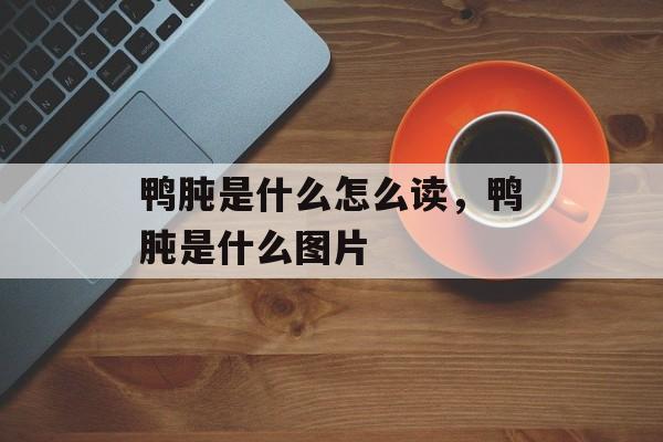 鸭肫是什么怎么读，鸭肫是什么图片-第1张图片-