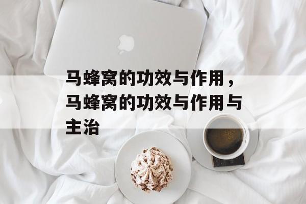 马蜂窝的功效与作用，马蜂窝的功效与作用与主治-第1张图片-