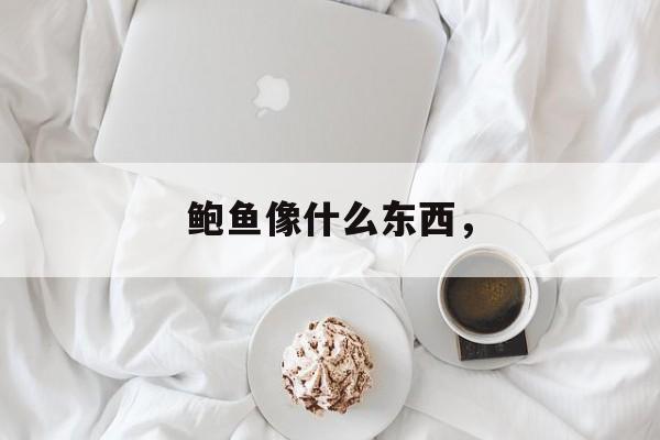 鲍鱼像什么东西，-第1张图片-