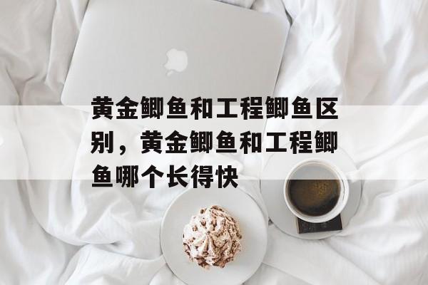 黄金鲫鱼和工程鲫鱼区别，黄金鲫鱼和工程鲫鱼哪个长得快-第1张图片-