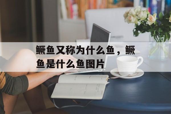 鳜鱼又称为什么鱼，鳜鱼是什么鱼图片-第1张图片-