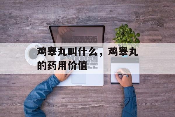 鸡睾丸叫什么，鸡睾丸的药用价值-第1张图片-