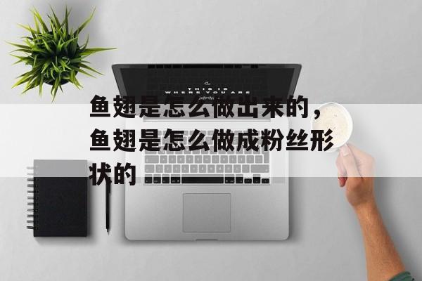 鱼翅是怎么做出来的，鱼翅是怎么做成粉丝形状的-第1张图片-