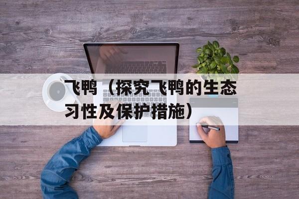 飞鸭（探究飞鸭的生态习性及保护措施）-第1张图片-