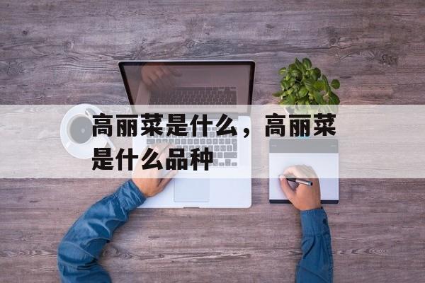 高丽菜是什么，高丽菜是什么品种-第1张图片-
