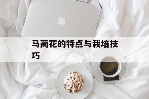 马蔺花的特点与栽培技巧-第1张图片-