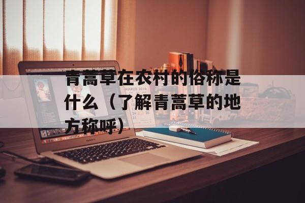青蒿草在农村的俗称是什么（了解青蒿草的地方称呼）-第1张图片-