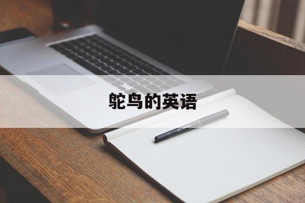 鸵鸟的英语-第1张图片-