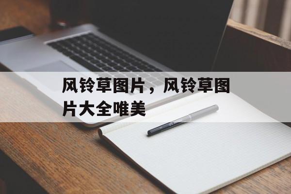 风铃草图片，风铃草图片大全唯美-第1张图片-