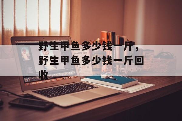 野生甲鱼多少钱一斤，野生甲鱼多少钱一斤回收-第1张图片-
