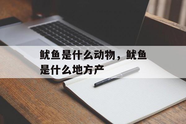 鱿鱼是什么动物，鱿鱼是什么地方产-第1张图片-