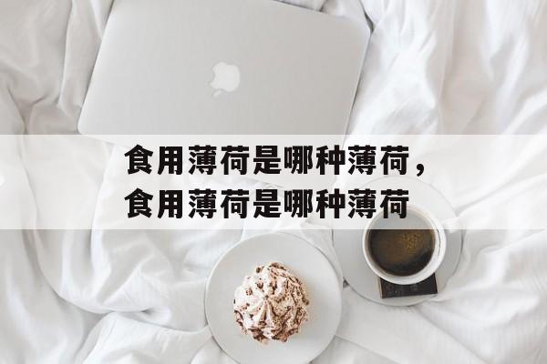 食用薄荷是哪种薄荷，食用薄荷是哪种薄荷-第1张图片-
