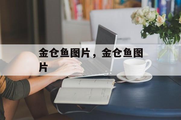 金仓鱼图片，金仓鱼图片-第1张图片-
