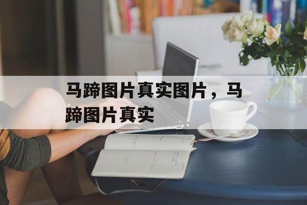 马蹄图片真实图片，马蹄图片真实-第1张图片-