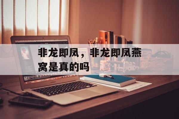 非龙即凤，非龙即凤燕窝是真的吗-第1张图片-