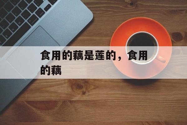 食用的藕是莲的，食用的藕-第1张图片-
