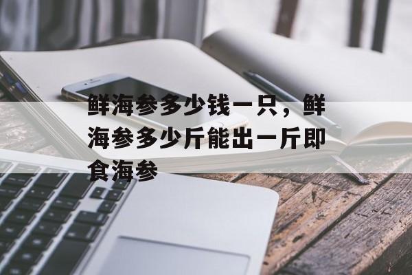 鲜海参多少钱一只，鲜海参多少斤能出一斤即食海参-第1张图片-