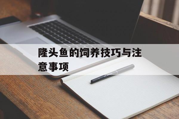 隆头鱼的饲养技巧与注意事项-第1张图片-